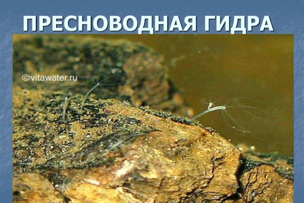 Купить героин в москве